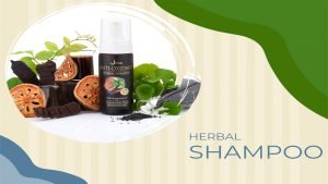best herbal shampoo